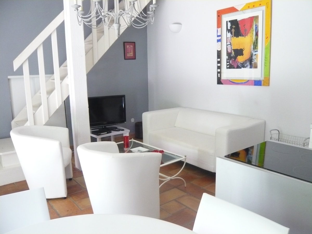 Proprietà Airbnb di successo: The Rhône, 5 people, rest, garden, pool a Saint Gilles