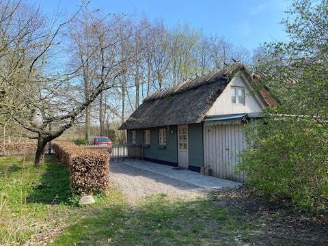 Thatched tiny house with pool and forest
