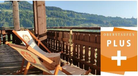 Vacation home on the mountain - Apartment Primel (upper floor)