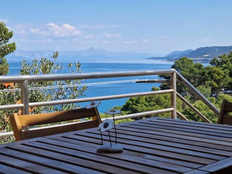 Jelsa Hills terrace stunning sea view 50m from sea