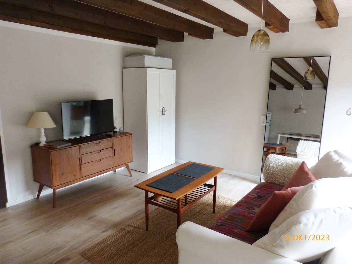 Airbnb performant: Studio-Apartment "Köhlerstube" à Todtmoos