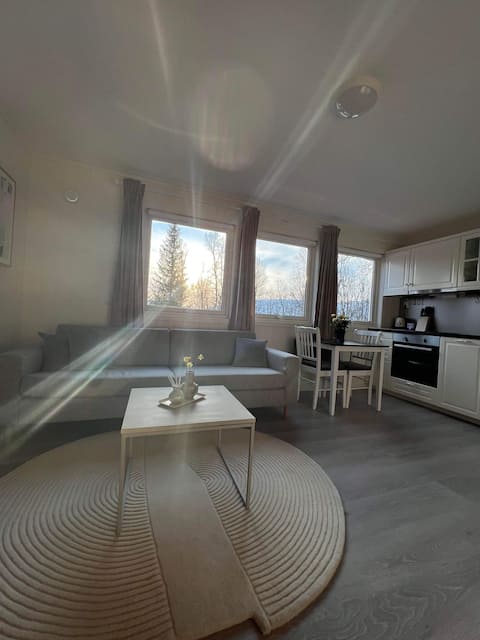 Successful Airbnb property: 46 sqm cozy apartment with parking in Mortensnes