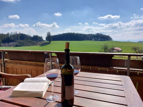 Enjoy the Allgäu Alpine view