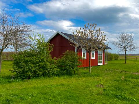 Tiny House De Rooie Vos