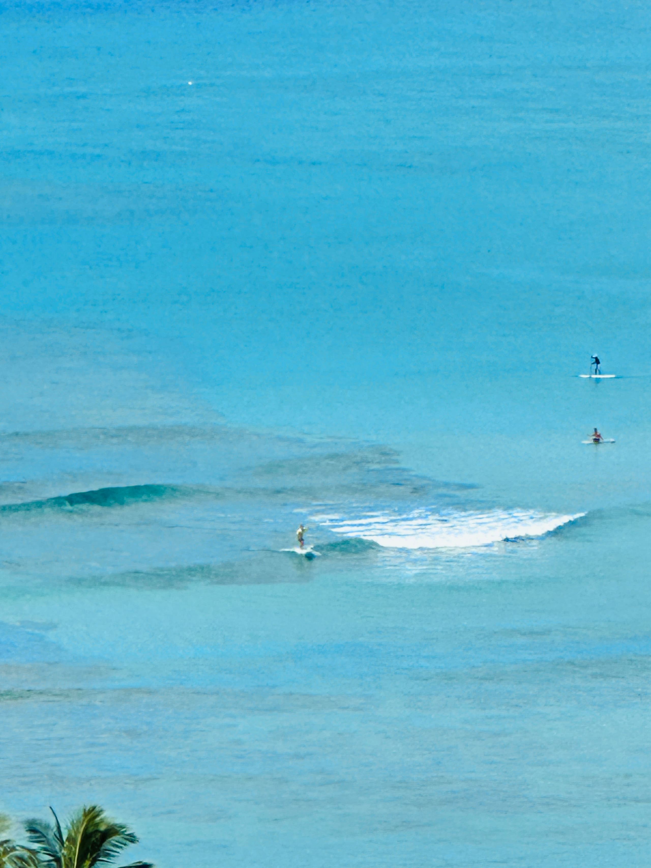 Condo in Honolulu · ★5.0 · 1 bedroom · 2 beds · 1 private bath - Image 39