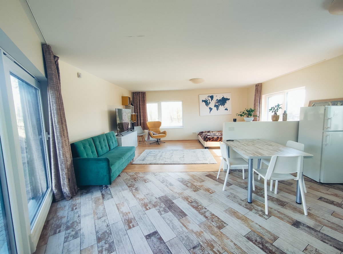 An open living area features a cozy green sofa facing a patterned rug and a bed in the background. A dining table with white chairs is placed beside a large window, allowing natural light to illuminate the space. A television and an armchair complete the inviting layout.