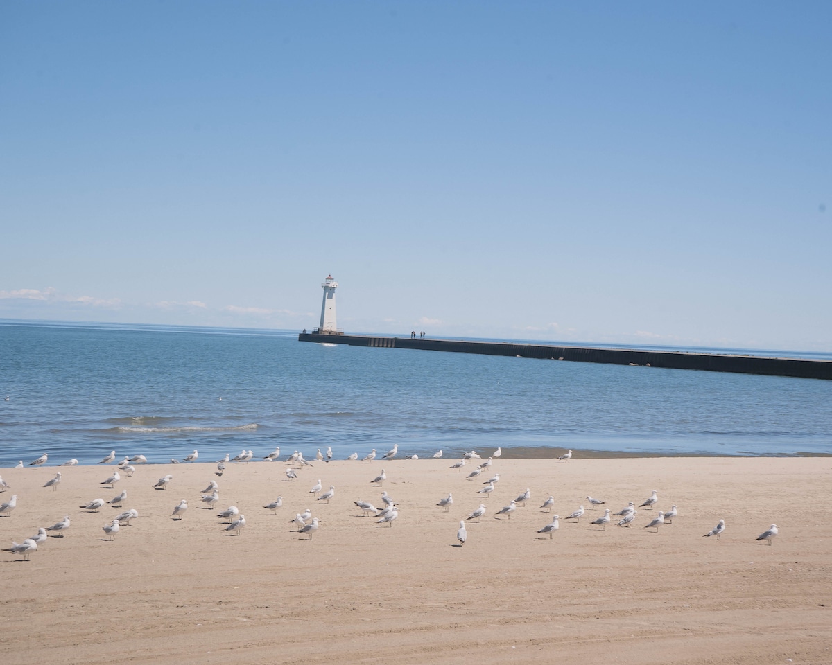A sandy beach is visible, dotted with numerous seagulls. In the distance, a light tower marks the end of a pier stretching into the calm waters of Sodus Bay. A clear blue sky frames the serene coastal scene.