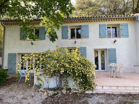 Country house surrounded by vineyards and pool