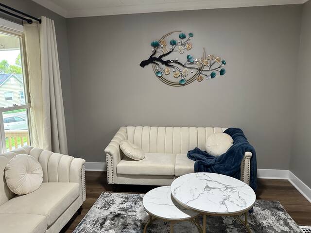 Newly Renovated South Wedge home gallery image 2