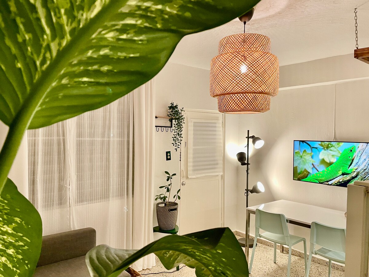 A living area is partly obscured by a large green leaf, revealing a cozy space with a woven light fixture and a modern TV displaying a vibrant nature image. A small dining table with light blue chairs is seen, along with soft natural lighting streaming through sheer curtains.