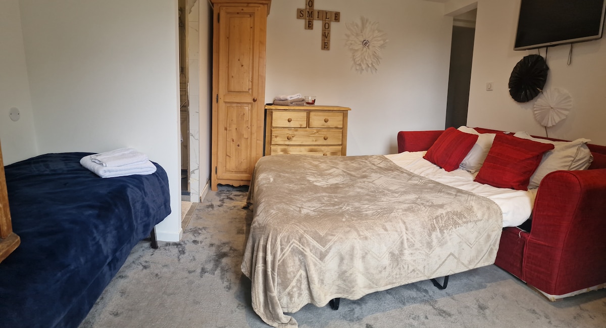 The studio features a spacious bed covered with a beige blanket, complemented by decorative red pillows. A single bed is positioned nearby, with folded towels placed on it. A wooden chest of drawers and a wardrobe are present, along with a wall-mounted television.