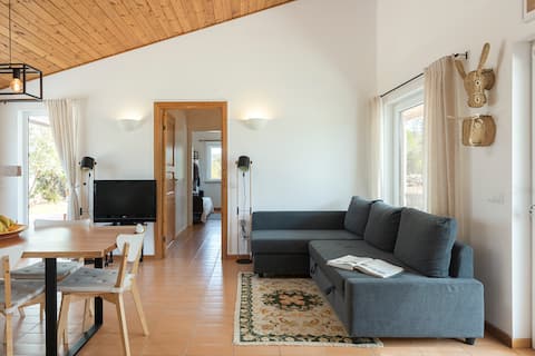 Airbnb em destaque: Casa de Palmeiros Wellness & Pool Villa em Loulé