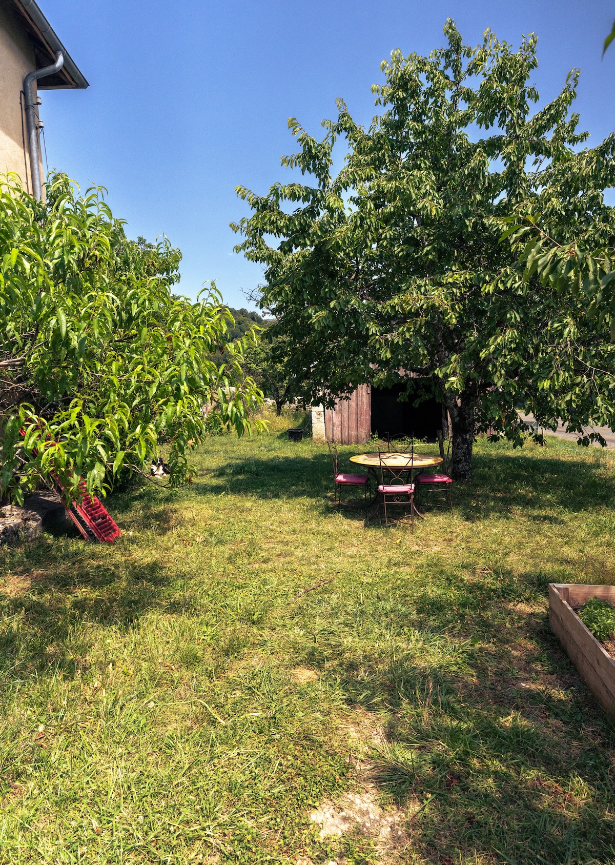 A spacious outdoor area is surrounded by greenery, featuring a table and chairs set for dining. A wooden shed is visible in the background, along with trees that provide shade. The grass is well-maintained, creating an inviting space for relaxation.