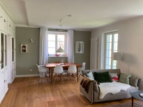 Stylish large apartment close to the center