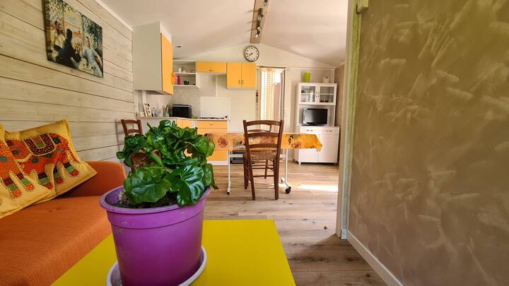 Mobilhome à La Ferme - Saint-Rémy-de-Provence