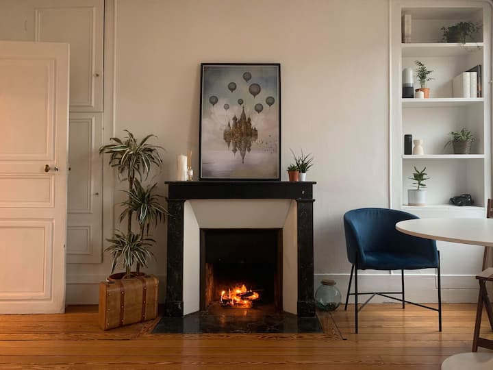 Appartement Lumineux Avec Vue Sur Le Château - Versailles