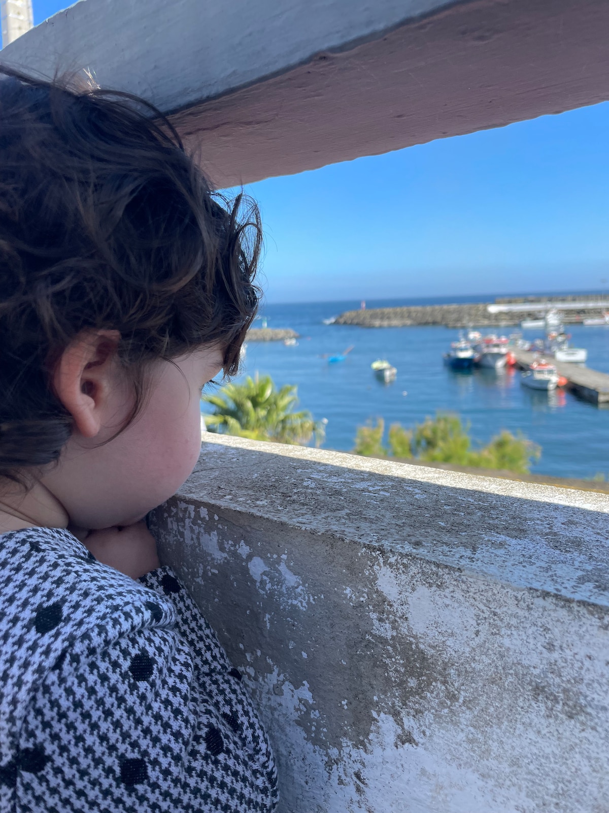 A child is seen gazing out from between wooden beams, overlooking a vibrant harbor scene. Fishing boats are anchored in the calm blue water, while lush greenery frames the view. The backdrop features a clear sky, enhancing the coastal atmosphere.