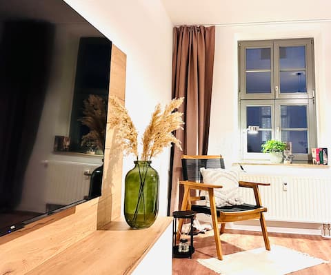 Top Airbnb: In the heart of the city - with free parking in Pirna