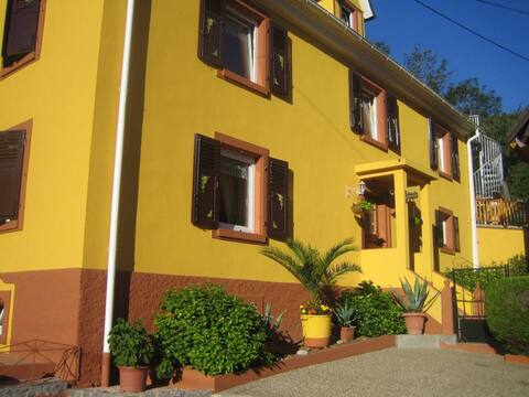 Balboa house for 2 to 12 people