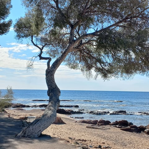 Successful Airbnb property: studio in the heart of Boulouris in Saint Raphaël