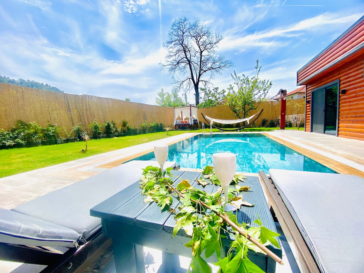 A private pool reflects the sky, surrounded by a spacious wooden deck. Poolside loungers face a well-manicured garden, with a hammock visible in the background. A table is adorned with greenery and two glasses, providing a glimpse of a tranquil outdoor setting.
