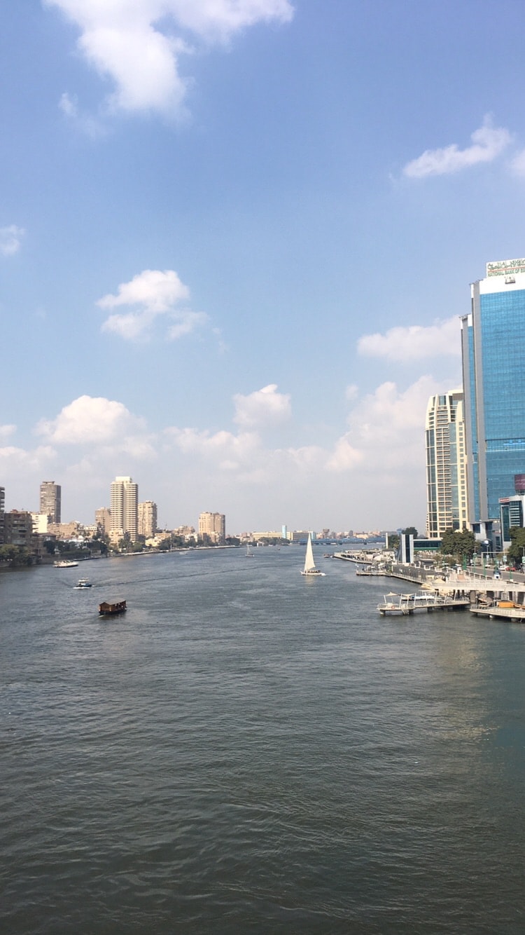 A view of a wide river is captured, flanked by modern skyscrapers and a series of buildings along the shoreline. A sailboat glides gracefully across the water under a bright sky dotted with clouds.