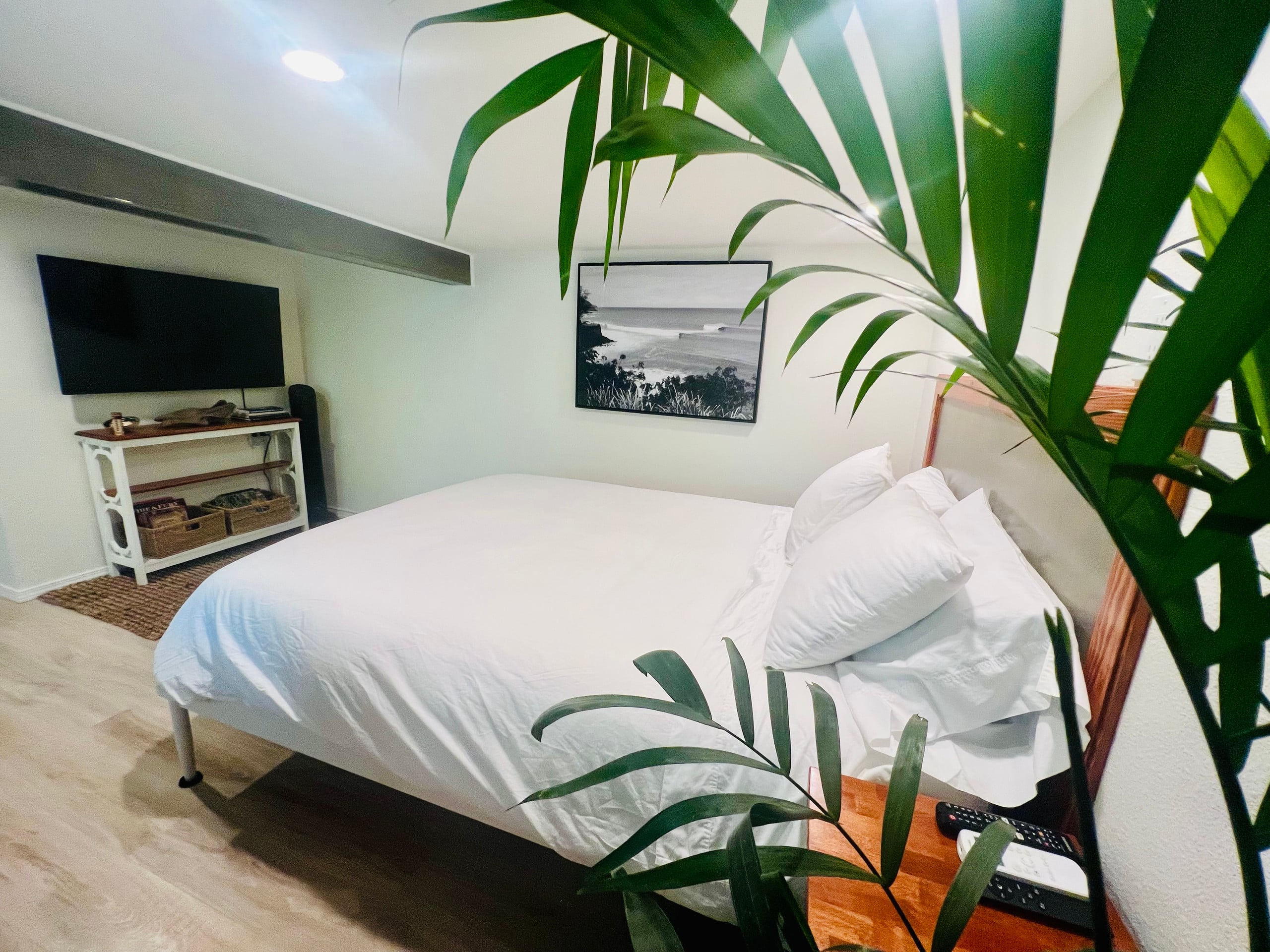 Papaya & Palm - A Private Tropical Oasis - Photo 3