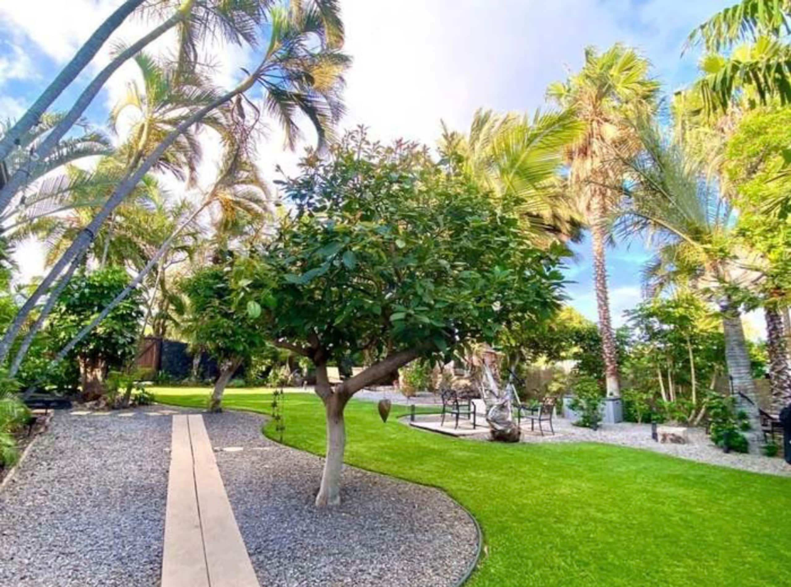 Papaya & Palm - A Private Tropical Oasis - Photo 7