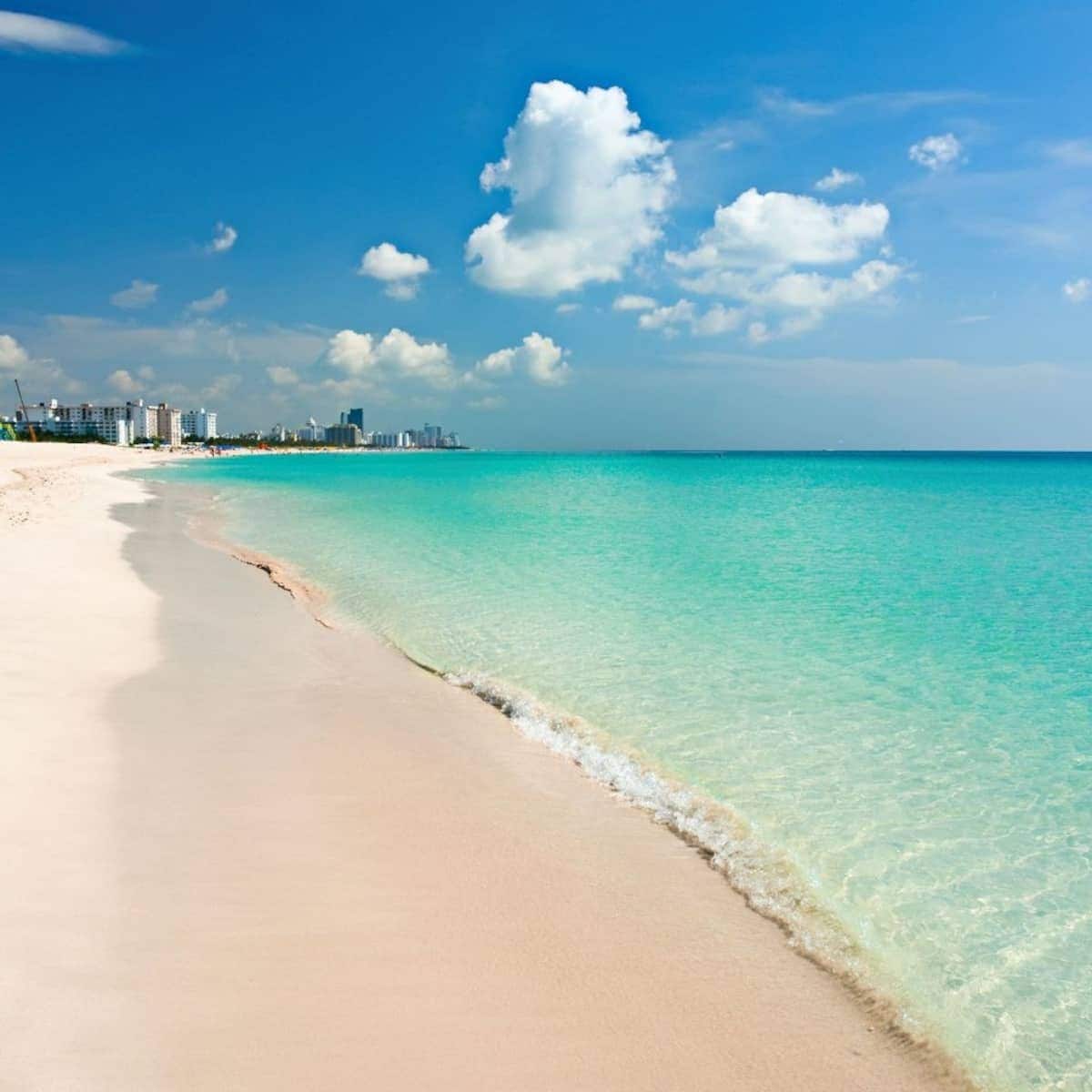 A serene beach scene features soft, sandy shores meeting the gentle waves of a clear turquoise ocean. Fluffy clouds drift across a bright blue sky, while the distant city skyline adds a backdrop of modernity to the tranquil natural setting.