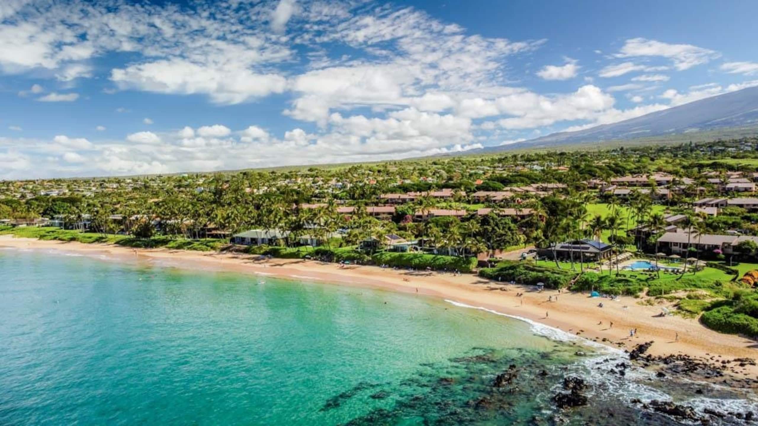 Condo in Kihei · ★4.91 · 1 bedroom · 2 beds · 2 baths - Image 37