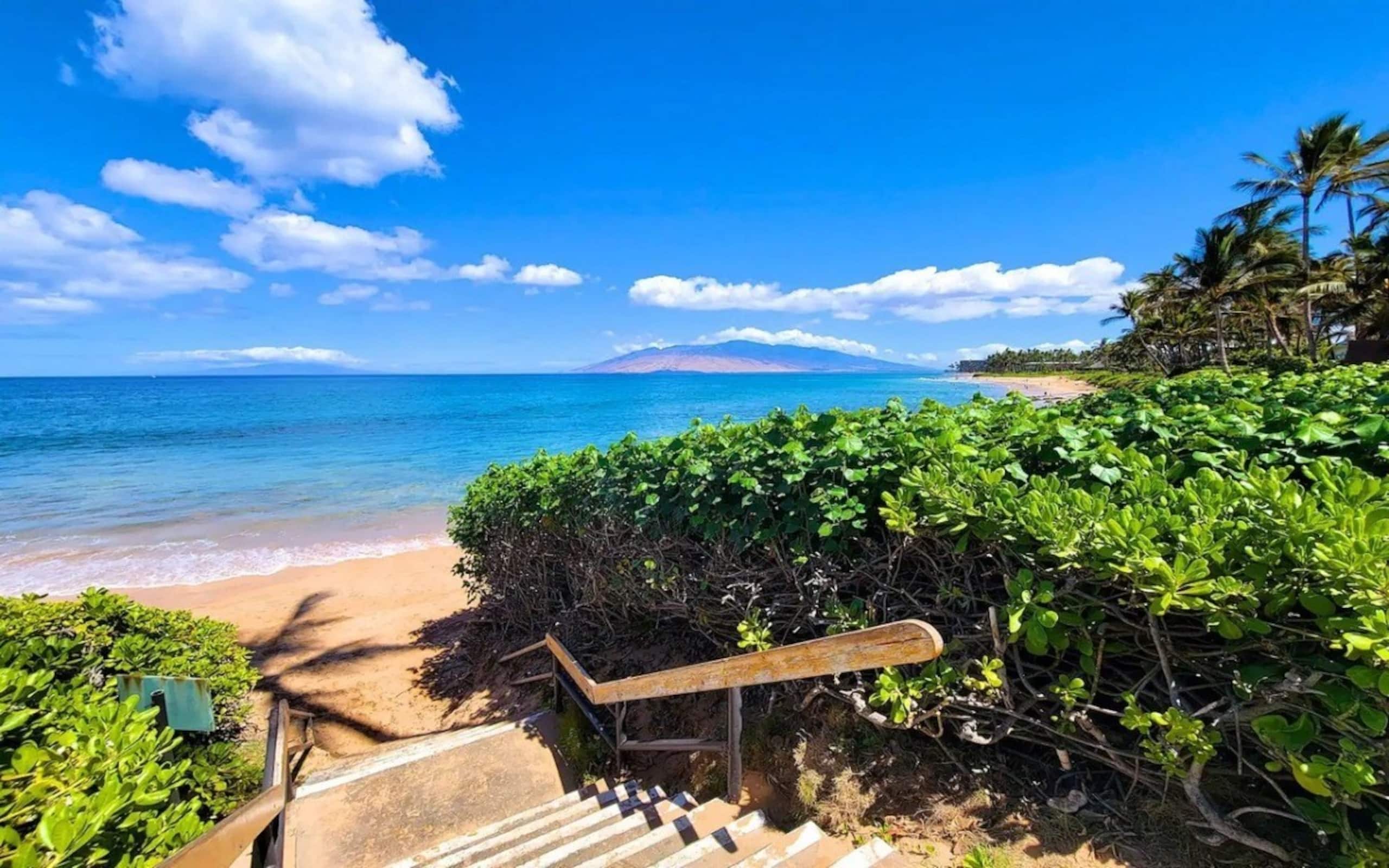 Condo in Kihei · ★4.91 · 1 bedroom · 2 beds · 2 baths - Image 36
