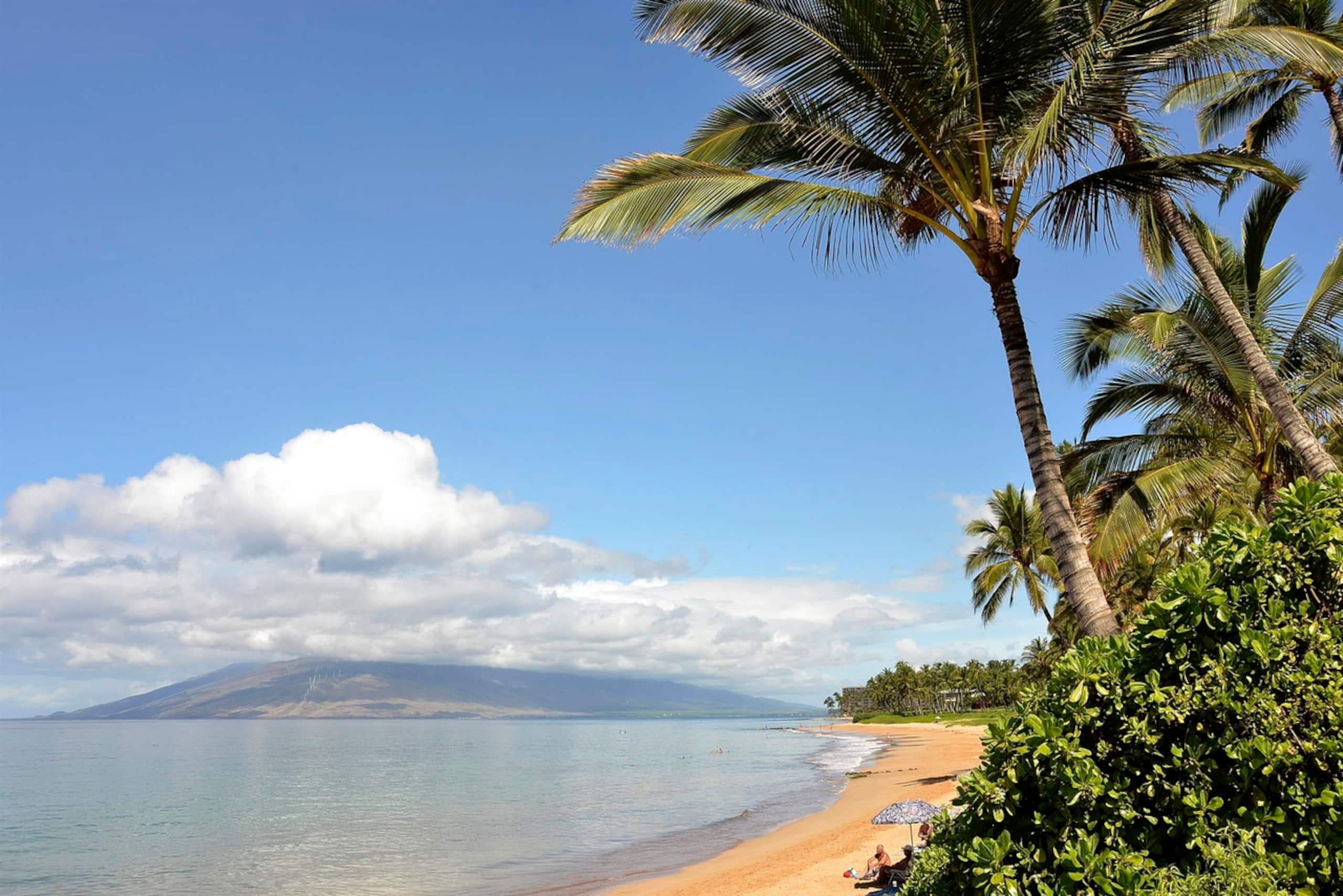Condo in Kihei · ★4.91 · 1 bedroom · 2 beds · 2 baths - Image 45