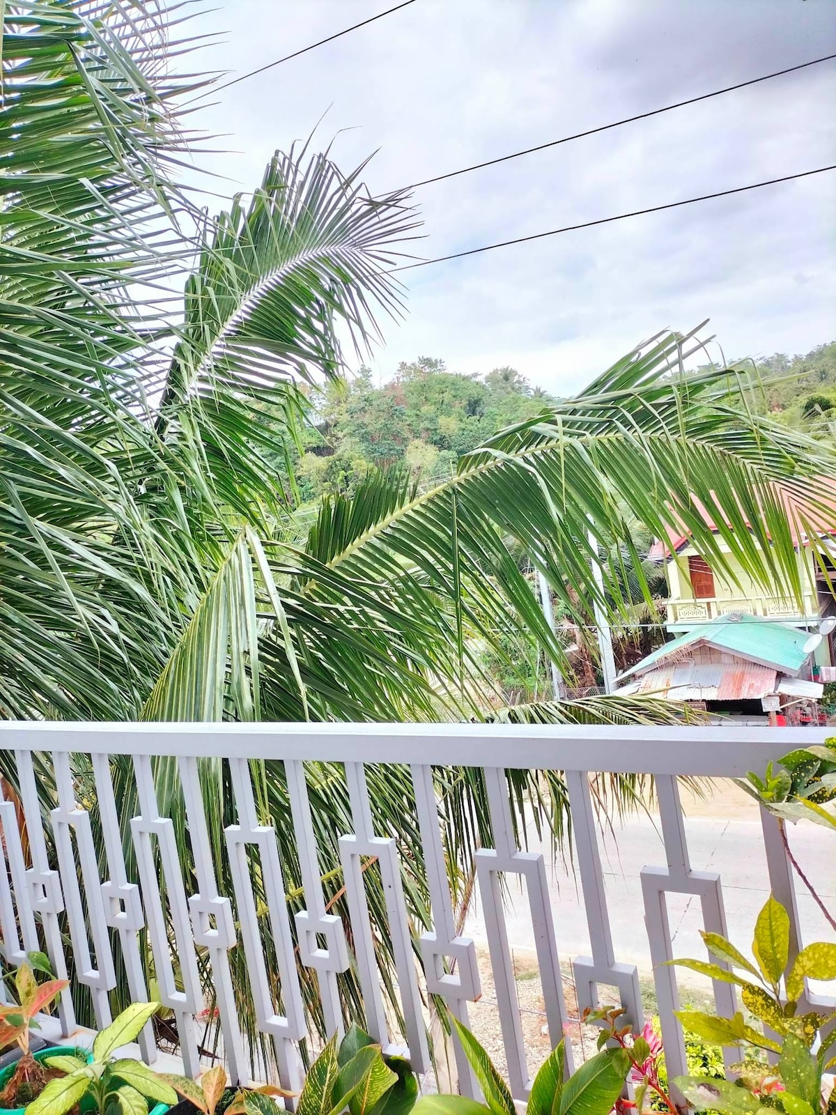 A view from the balcony features lush green palm fronds swaying gently. Below, colorful structures are visible along the street amidst a backdrop of greenery. The scene conveys a connection with nature and the local environment.
