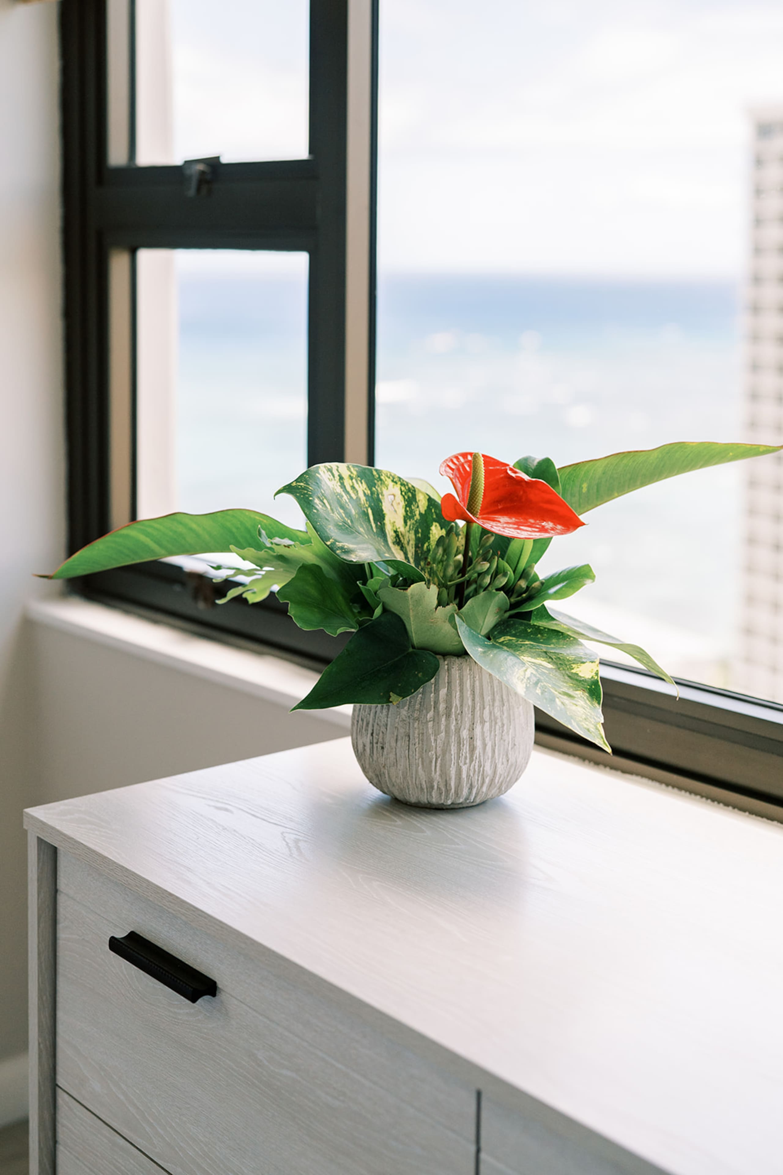 Home in Honolulu · ★4.97 · 1 bedroom · 2 beds · 1 bath - Image 48