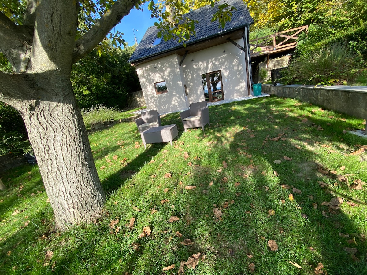 A serene outdoor area is presented with two comfortable chairs set on lush green grass, under the shade of a large tree. The house is visible in the background, framed by vibrant foliage, creating a peaceful space for relaxation.