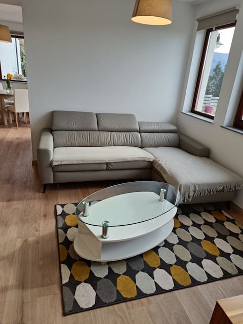 Green apartment Cerknica