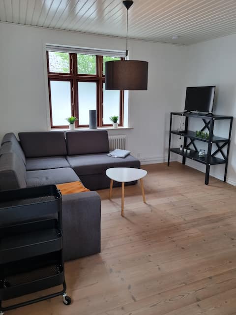 Close to Center & MCH/Boxen - House no. 11