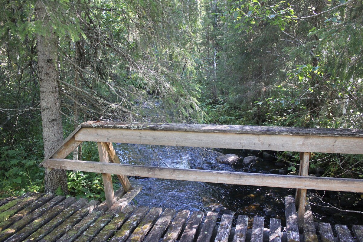 A wooden bridge leads over a gently flowing stream, surrounded by lush green trees. The natural light filters through the forest canopy, creating a serene setting. The bridge features a simple railing and is made of weathered wooden planks, blending harmoniously with the landscape.