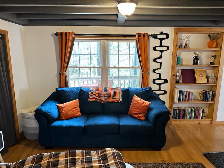 Couch and bookshelf in first floor suite bedroom.