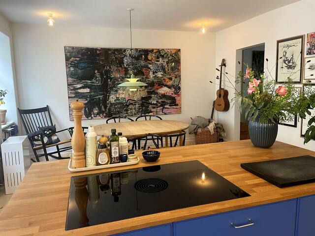 Central Copenhagen gallery image 2