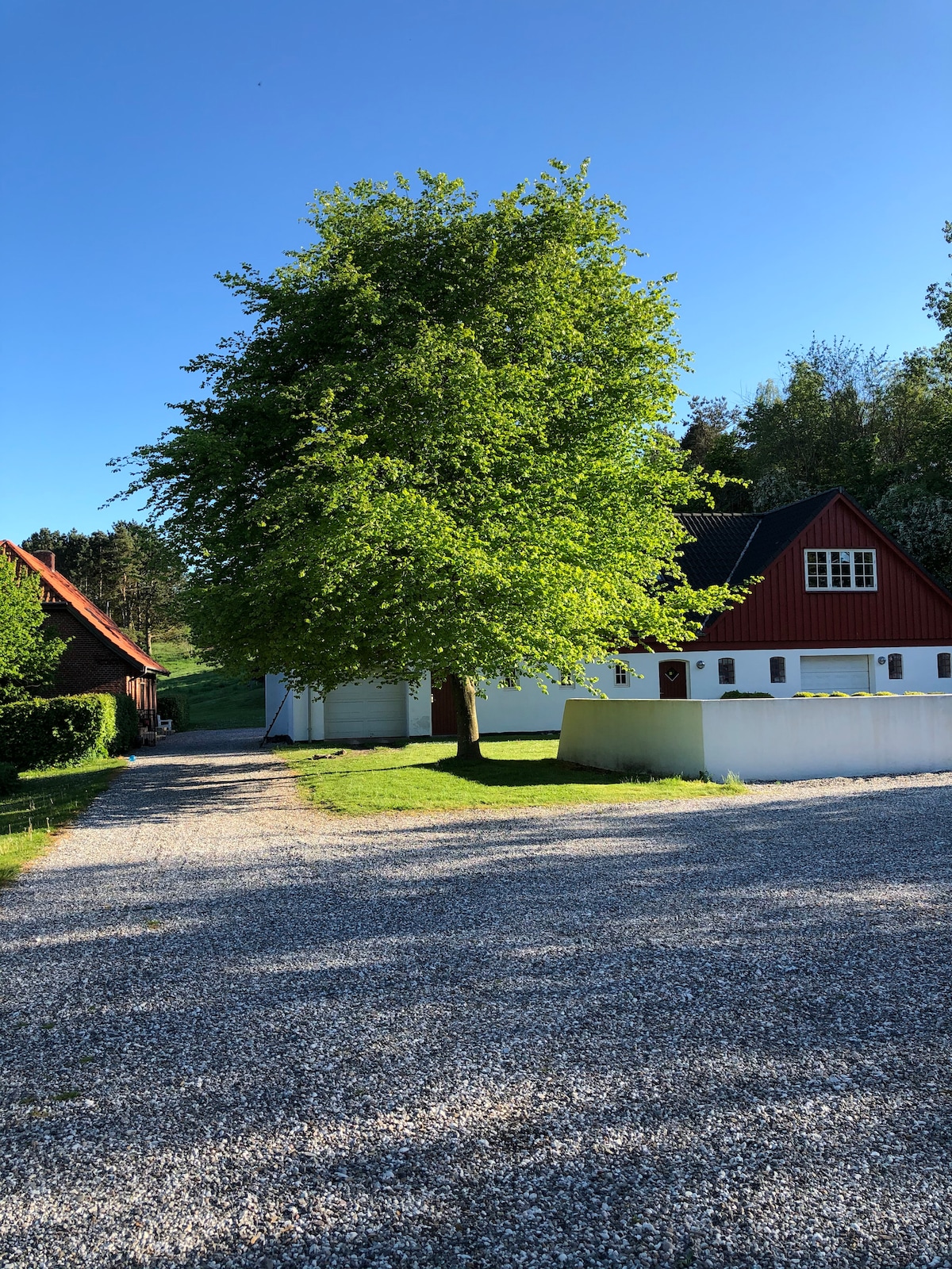 A charming property is framed by a large green tree, with a bright blue sky above. A gravel path leads to the building, which features red and white exterior elements. Lush greenery surrounds the area, enhancing the serene environment.