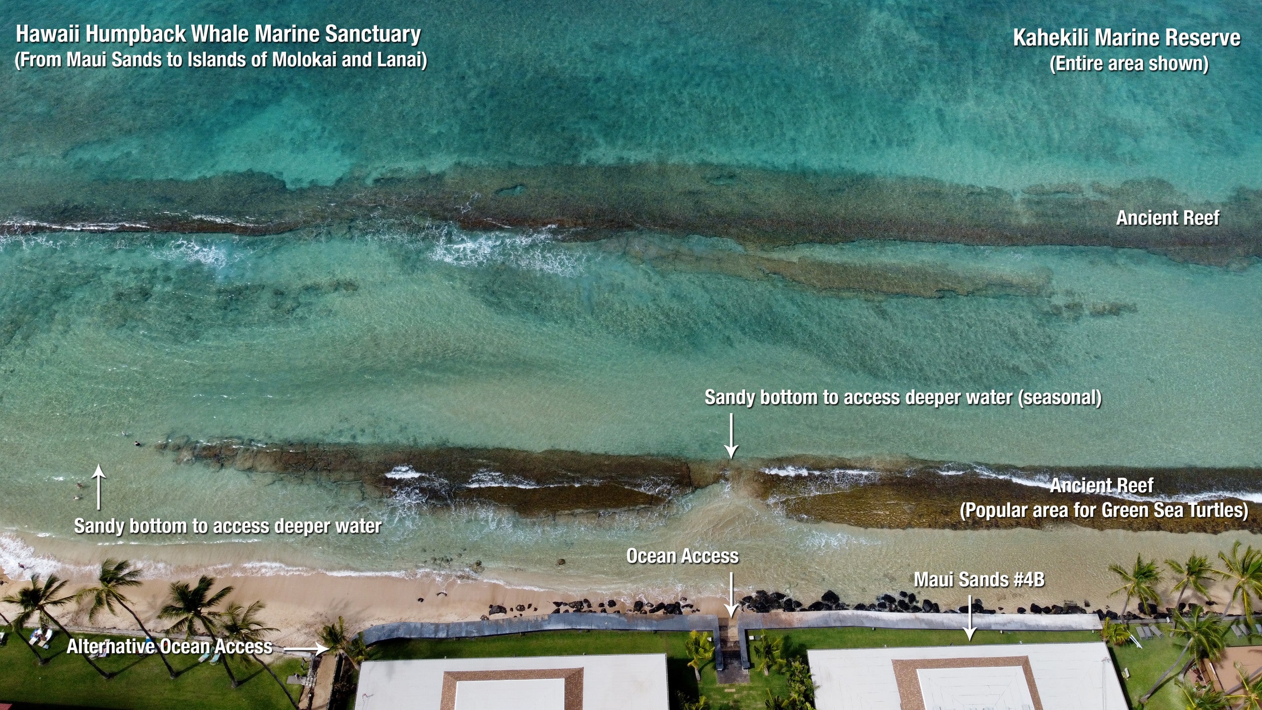 Condo in Lahaina · ★4.88 · 2 bedrooms · 3 beds · 1.5 baths - Image 18