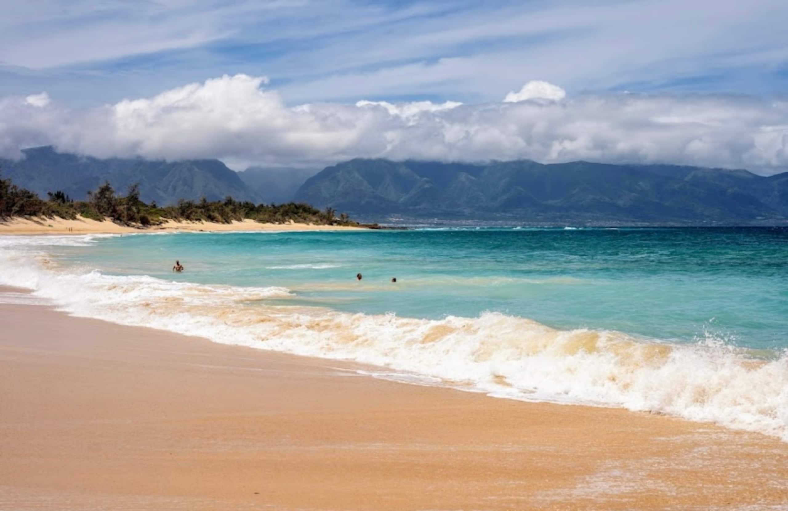Guesthouse in Makawao · ★4.95 · 1 bedroom · 1 bed · 1 private bath - Image 35
