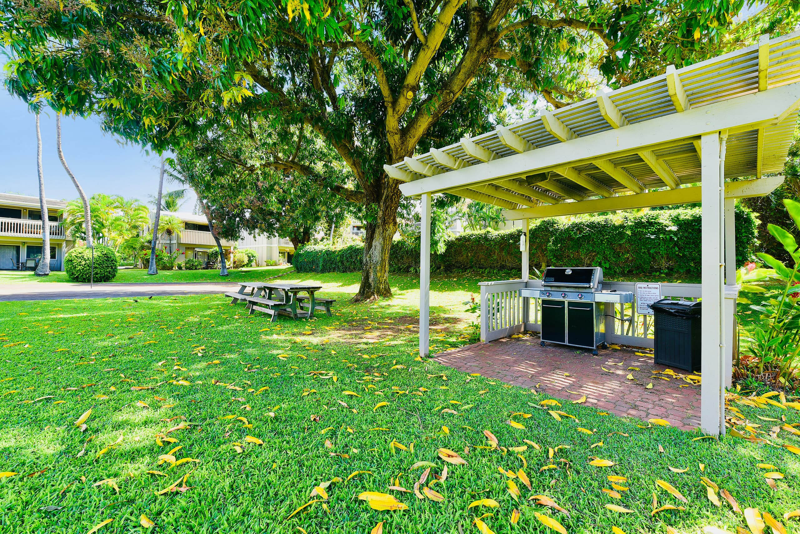 Condo in Lahaina · ★4.96 · Studio · 1 bed · 1 bath - Image 53