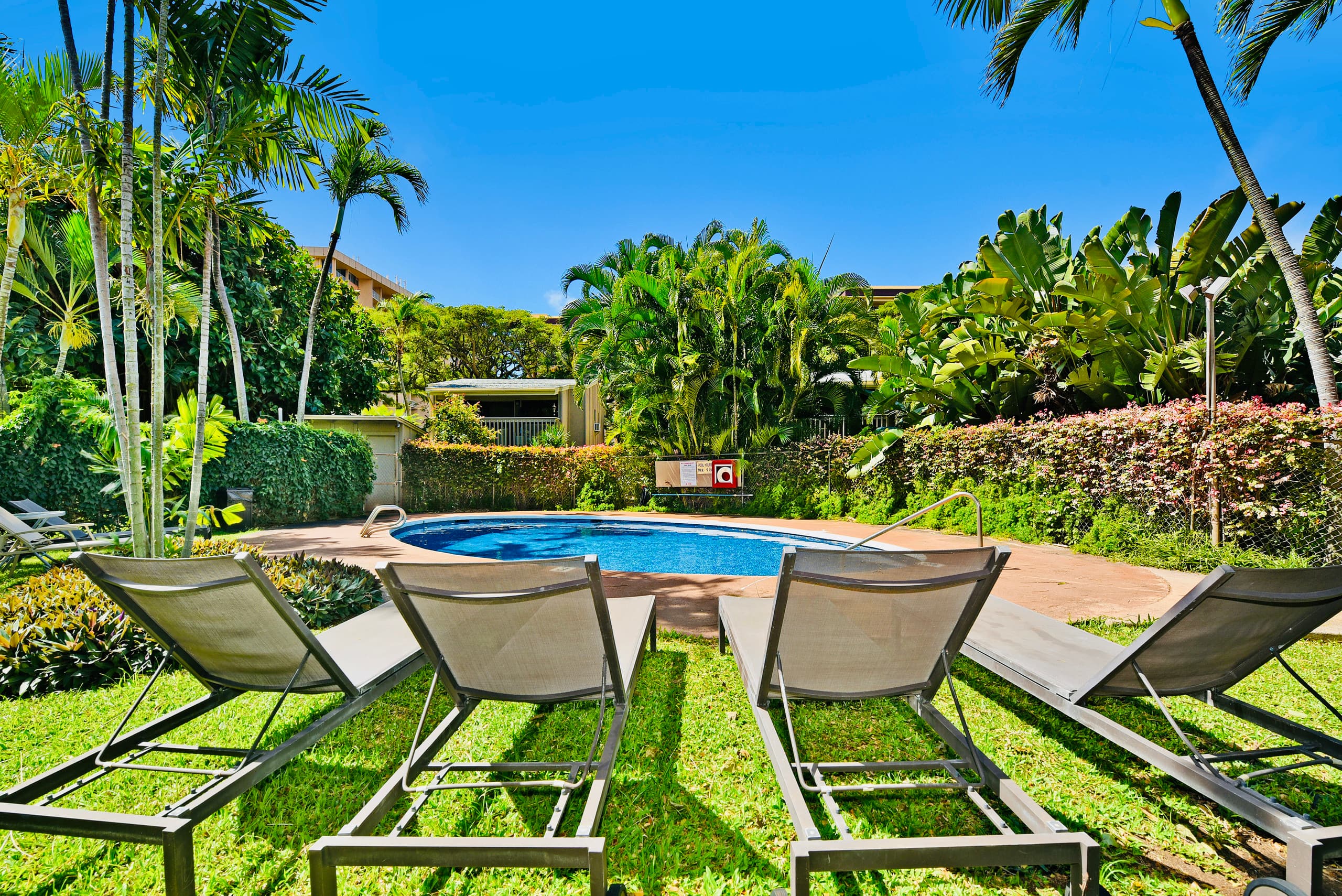 Condo in Lahaina · ★4.96 · Studio · 1 bed · 1 bath - Image 46
