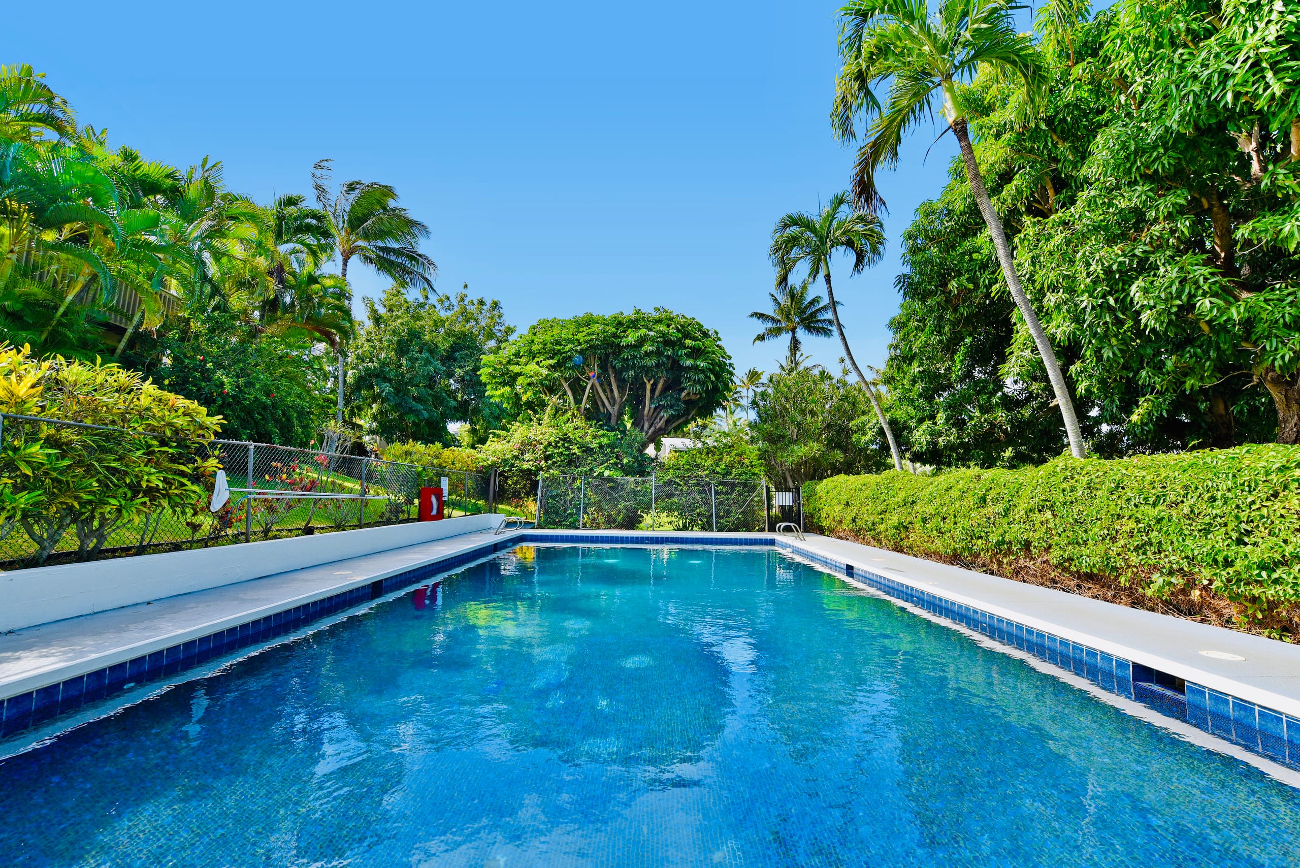 Condo in Lahaina · ★4.96 · Studio · 1 bed · 1 bath - Image 42