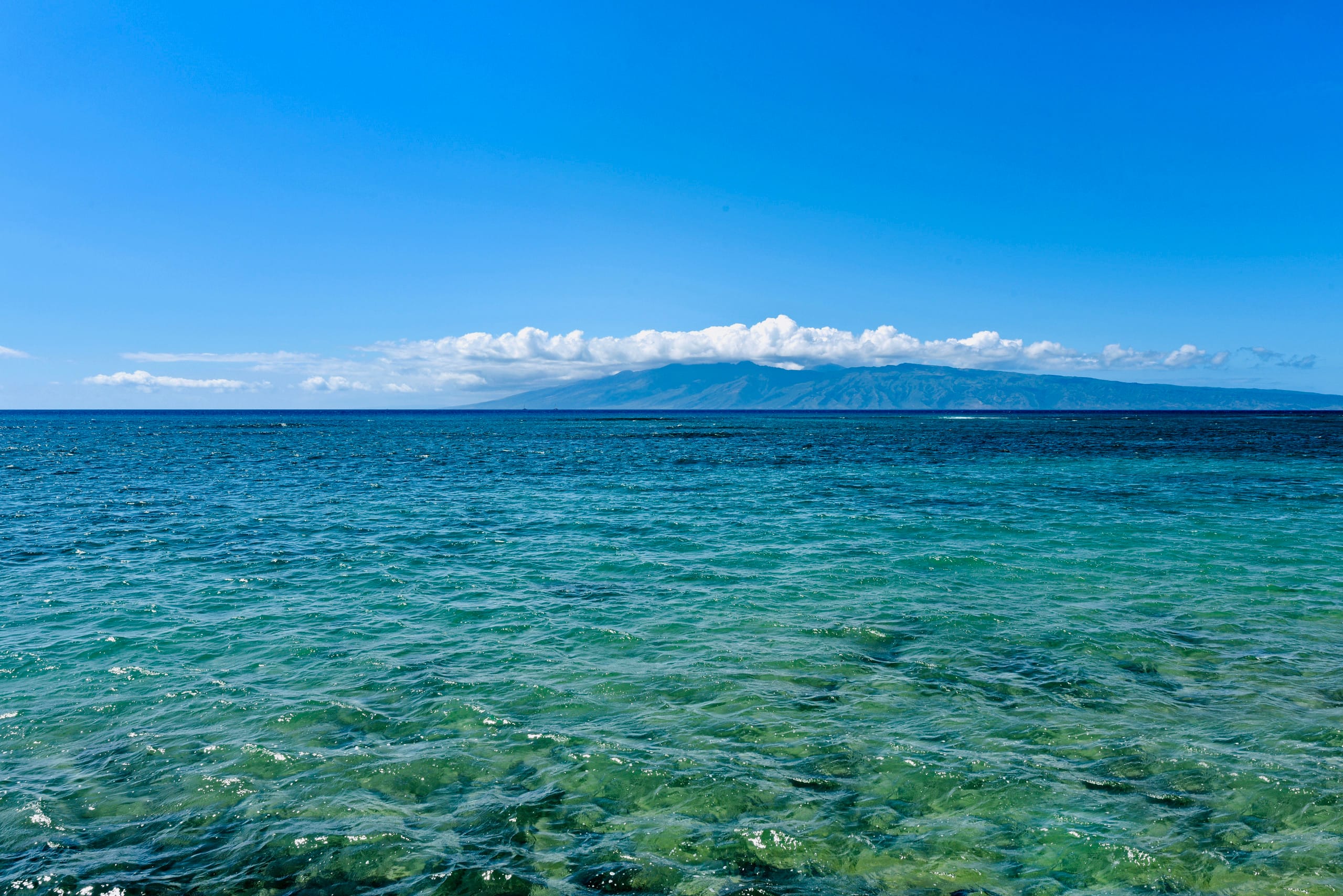 Condo in Lahaina · ★4.96 · Studio · 1 bed · 1 bath - Image 31
