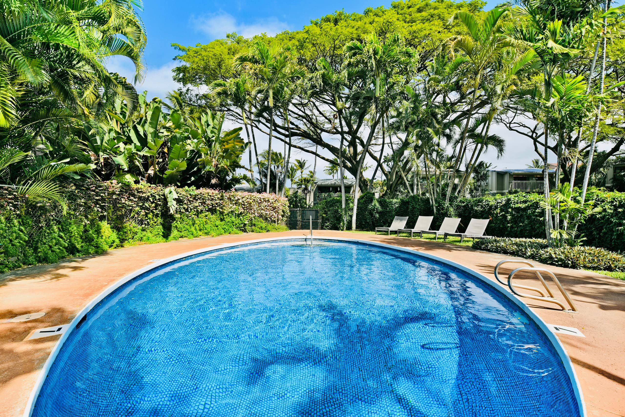 Condo in Lahaina · ★4.96 · Studio · 1 bed · 1 bath - Image 47