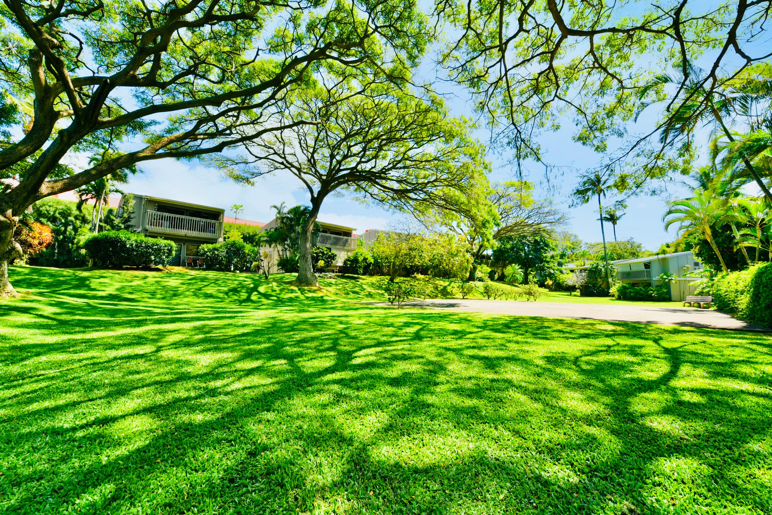 Condo in Lahaina · ★4.96 · Studio · 1 bed · 1 bath - Image 54