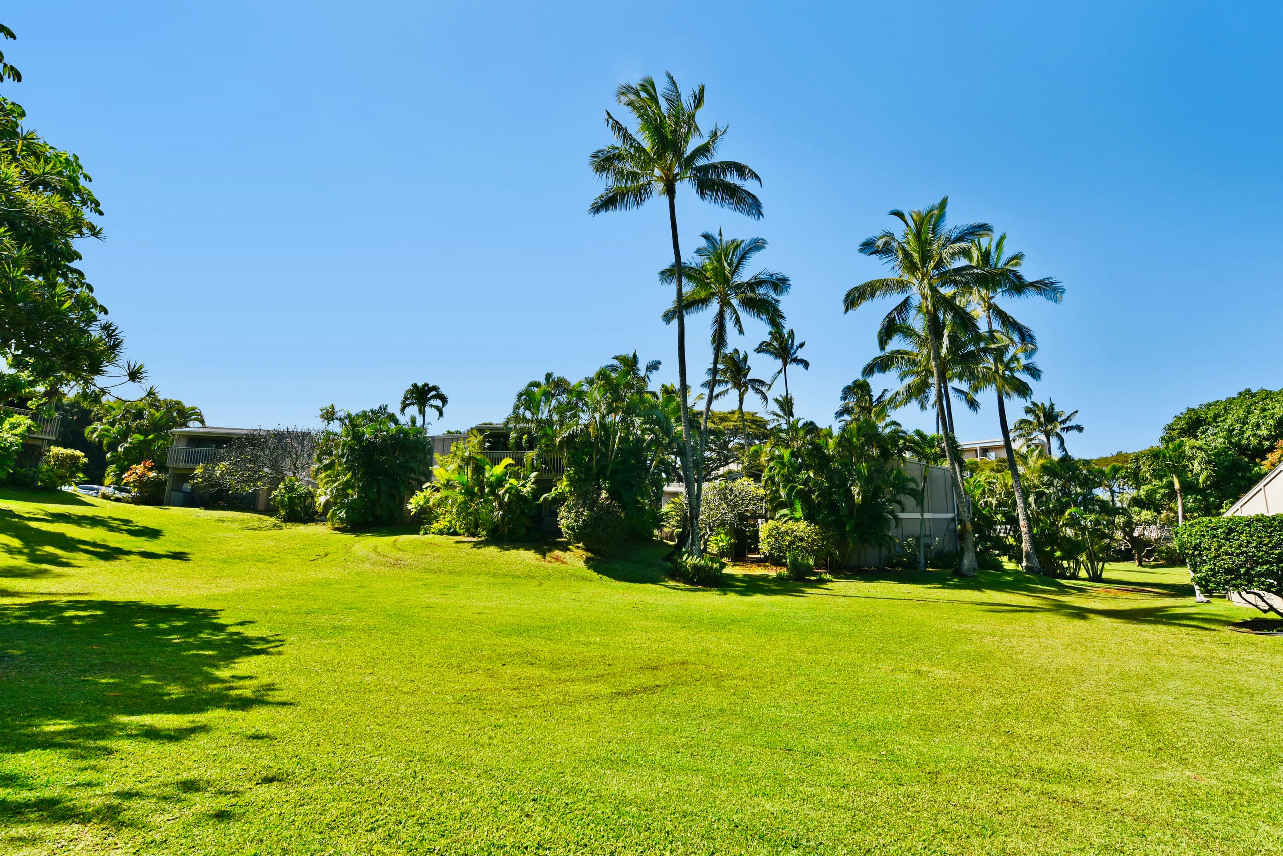 Condo in Lahaina · ★4.96 · Studio · 1 bed · 1 bath - Image 55